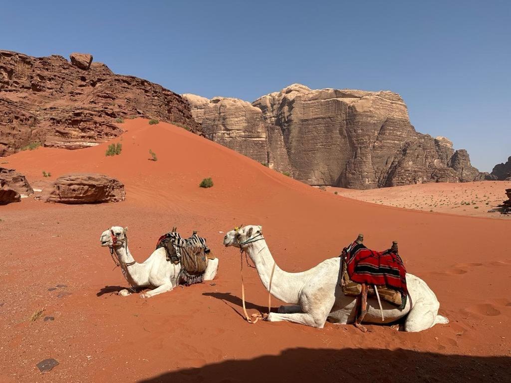 וואדי רם Bedouin Holidays Camp And Jeep Tours מראה חיצוני תמונה