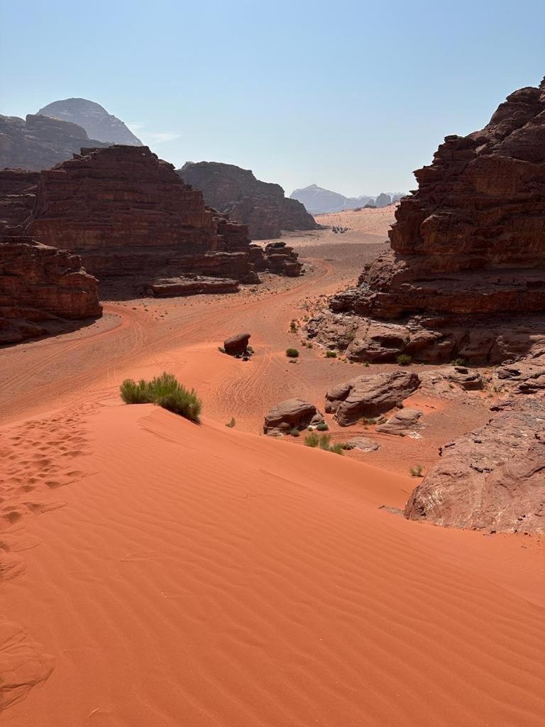 וואדי רם Bedouin Holidays Camp And Jeep Tours מראה חיצוני תמונה