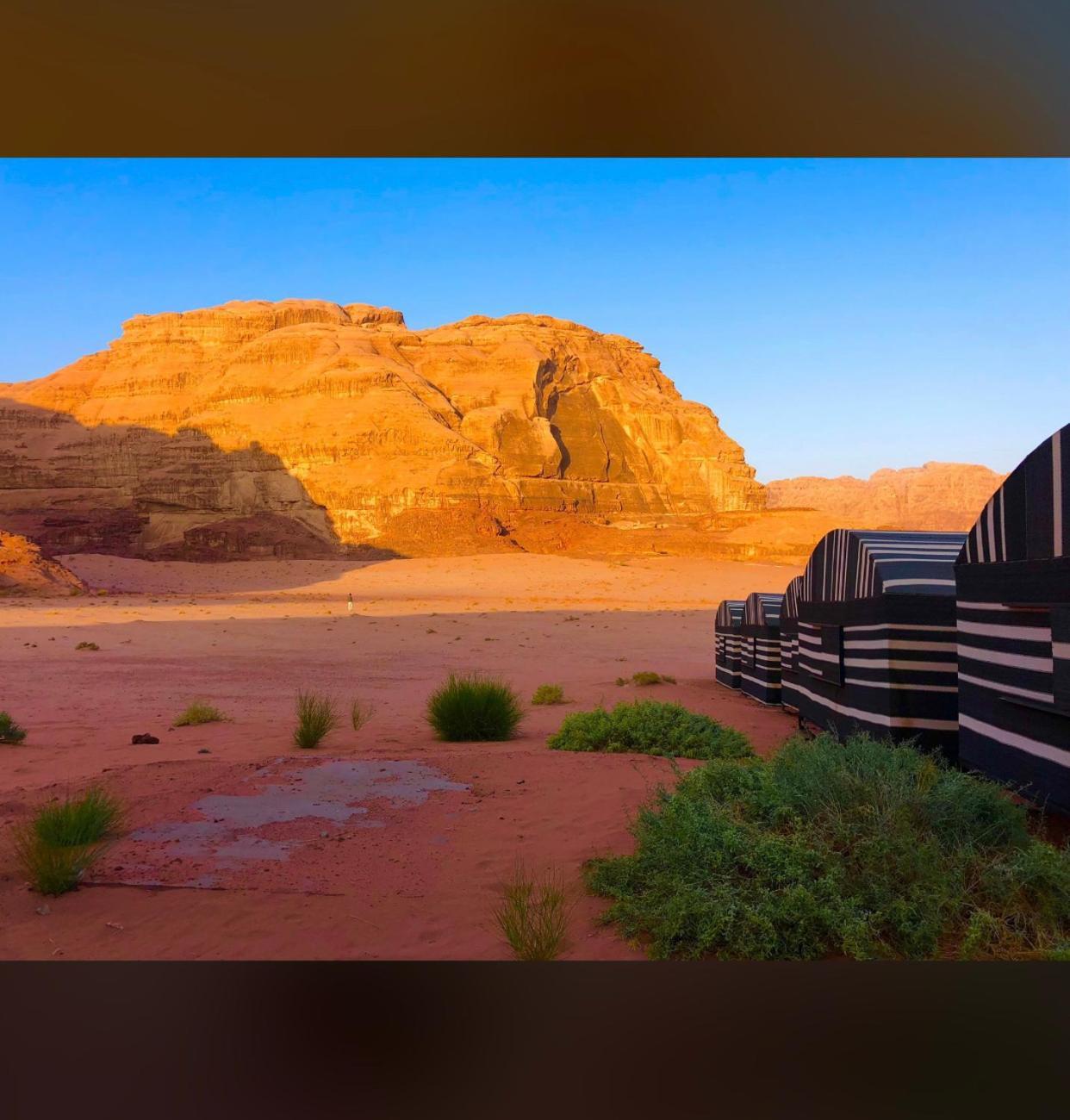 וואדי רם Bedouin Holidays Camp And Jeep Tours מראה חיצוני תמונה